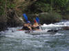 Paddling Duckies - inflatable kayak -  at Rio Mamoni with Aventuras Panama
