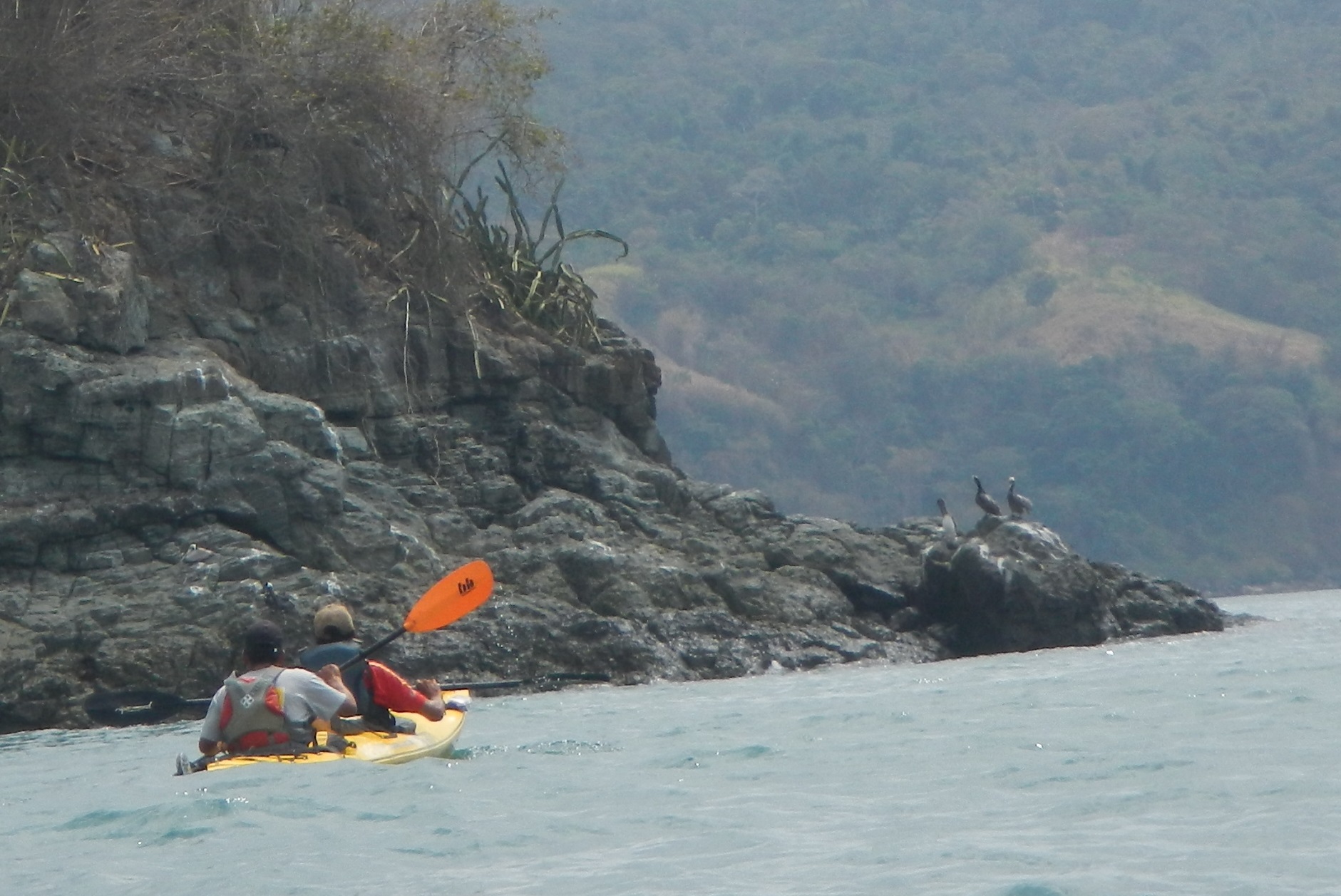 reaching taboga pelican corner in expedition kayak